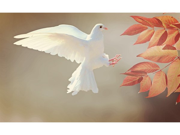 這四點(diǎn)方法將告訴你，如何為兒童進(jìn)行科學(xué)啟蒙